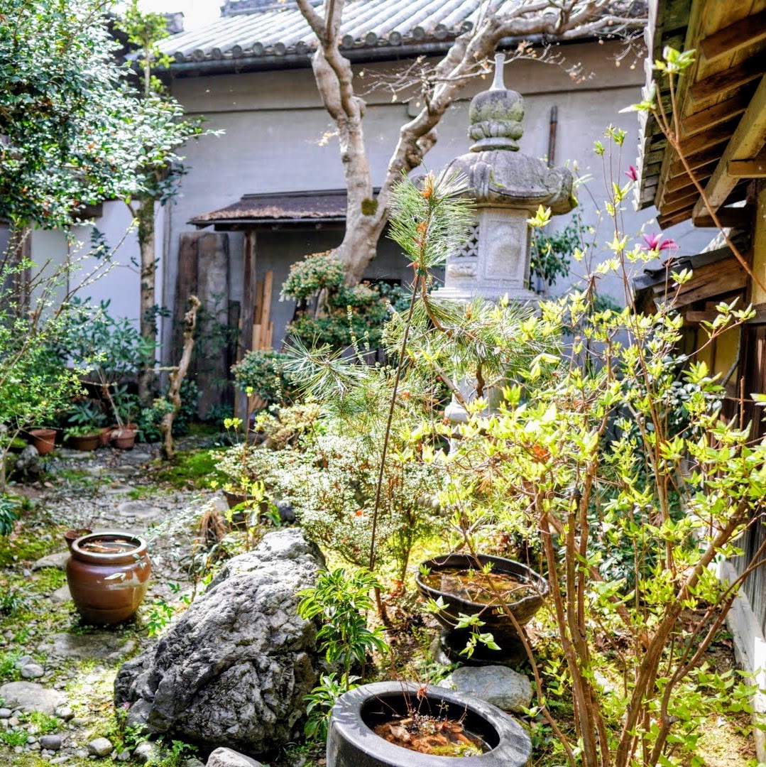 吉野山 實景照片 3