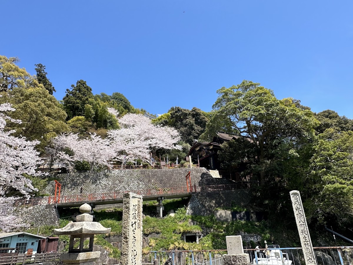 竹生島 實景照片 7