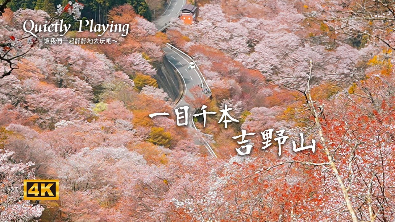 🌸一目千本!奈良吉野山 3萬棵櫻花大爆發|走進日本最壯觀的櫻花聖地|春季限定夢幻絕景!