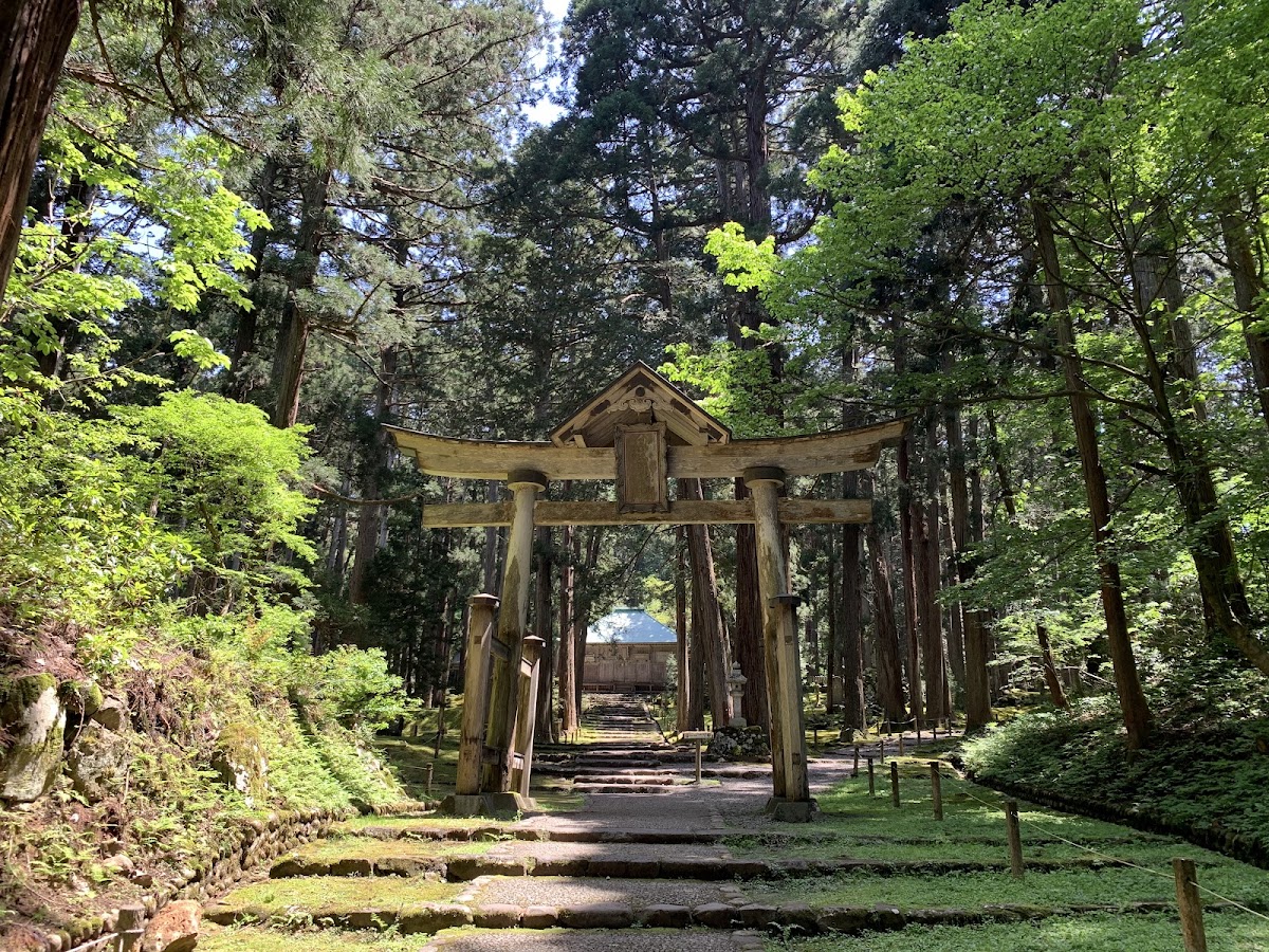 林間鳥居與石階參道