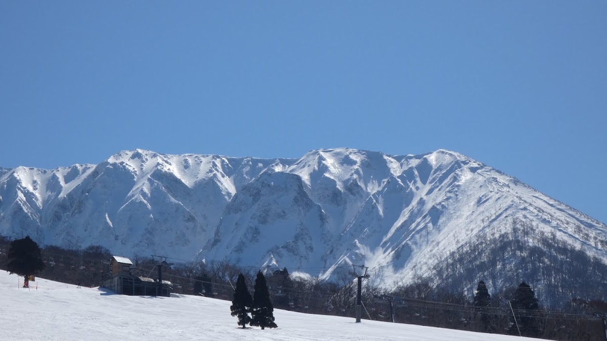 大山國際滑雪場（大山国際スキー場） 實景照片 2
