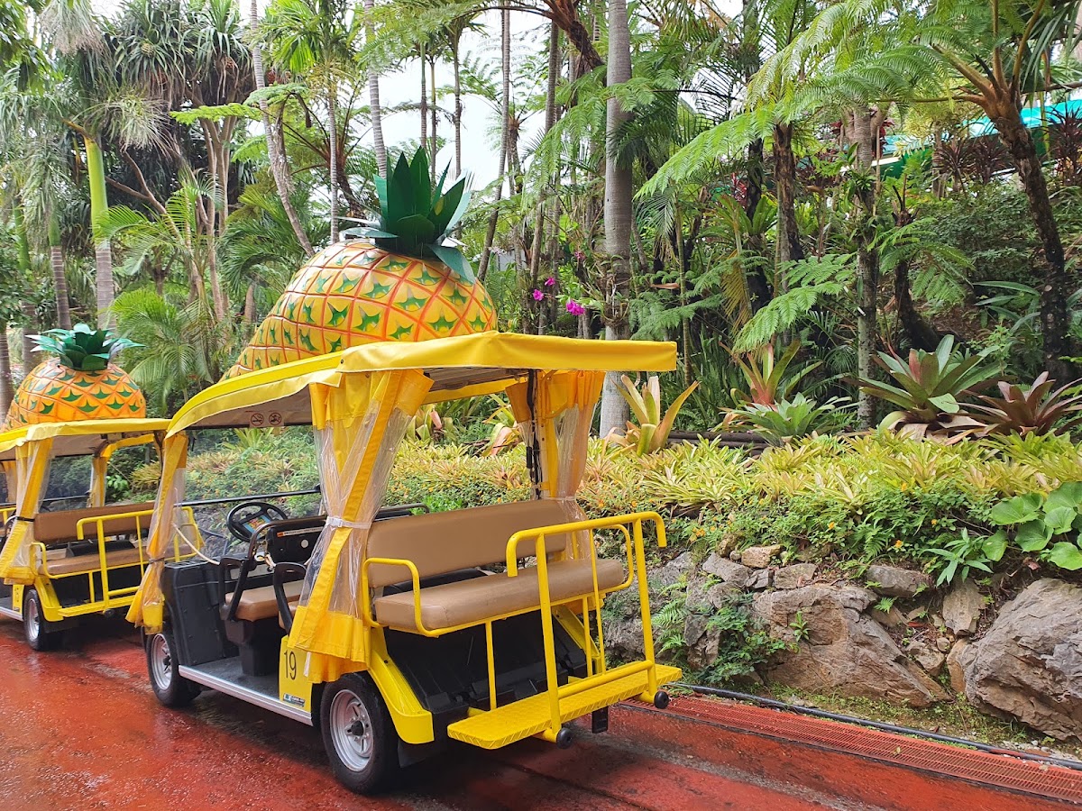 行駛中的鳳梨遊園車特寫