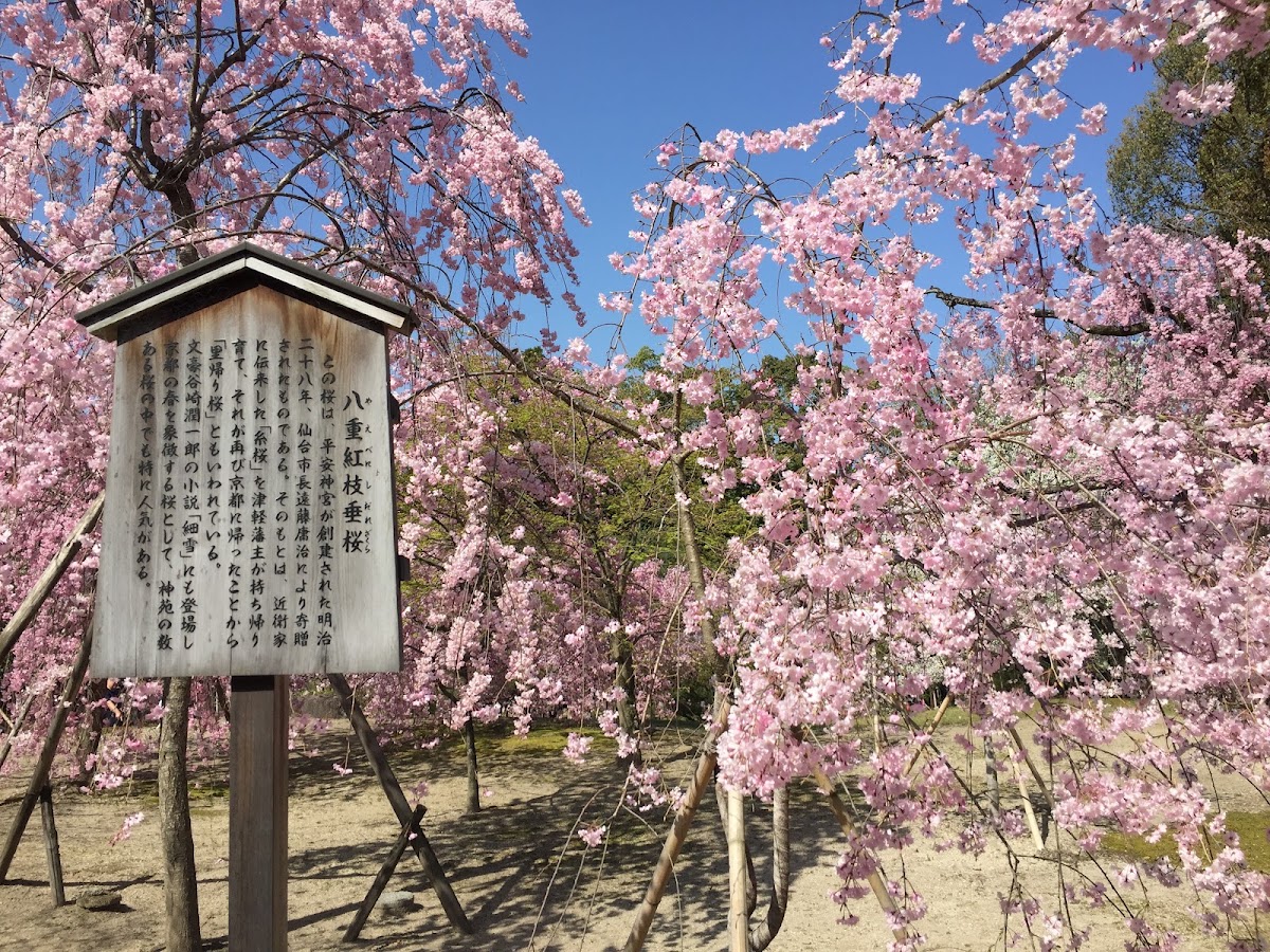 平安神宮 實景照片 4