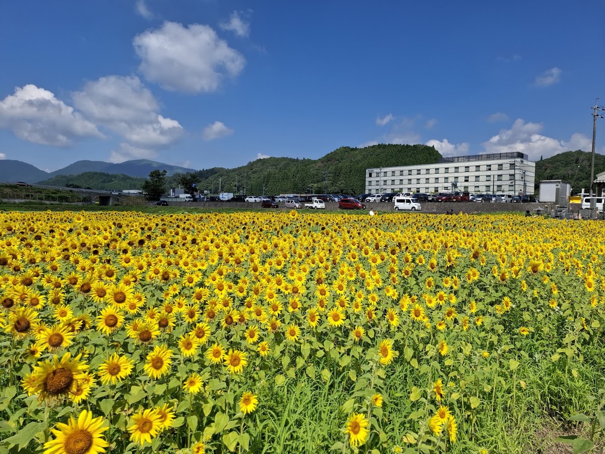 道之驛 風之家(道の駅 風の家) 實景照片 4