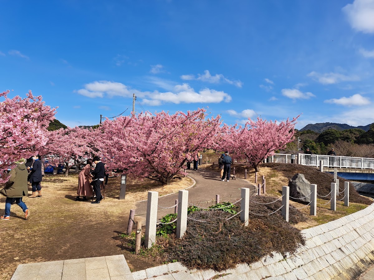 道之驛 萩海鮮市場（道の駅 萩しーまーと） 實景照片 3