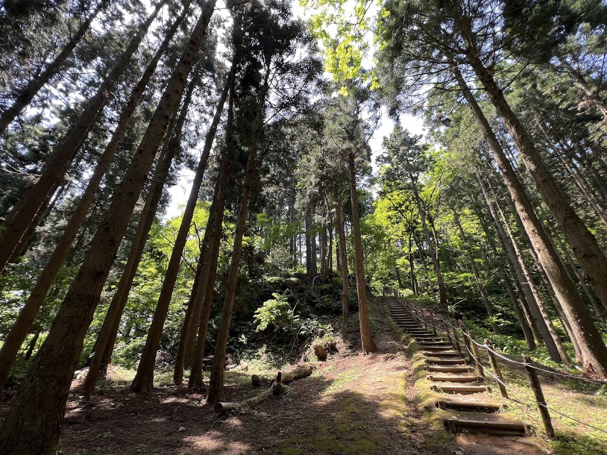 林間石階步道