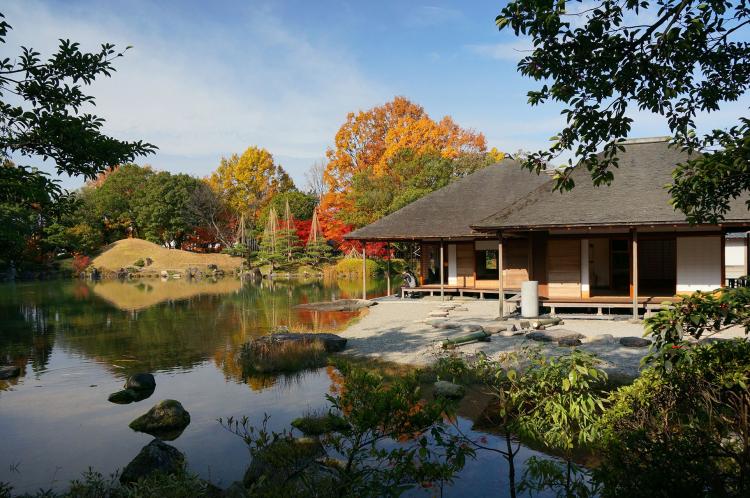 庭園水池與日式建築遠景