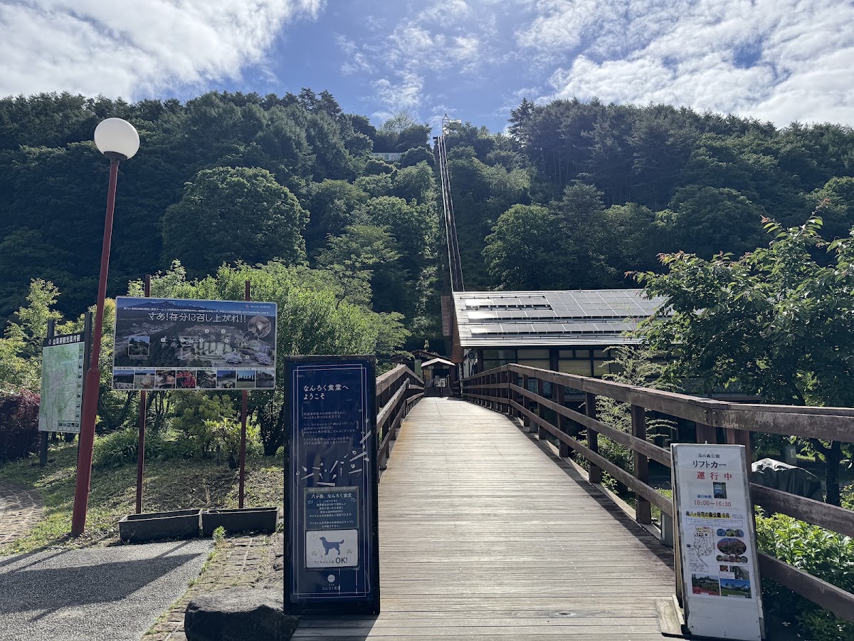 道之驛 南清里(道の駅 南きよさと) 實景照片 6