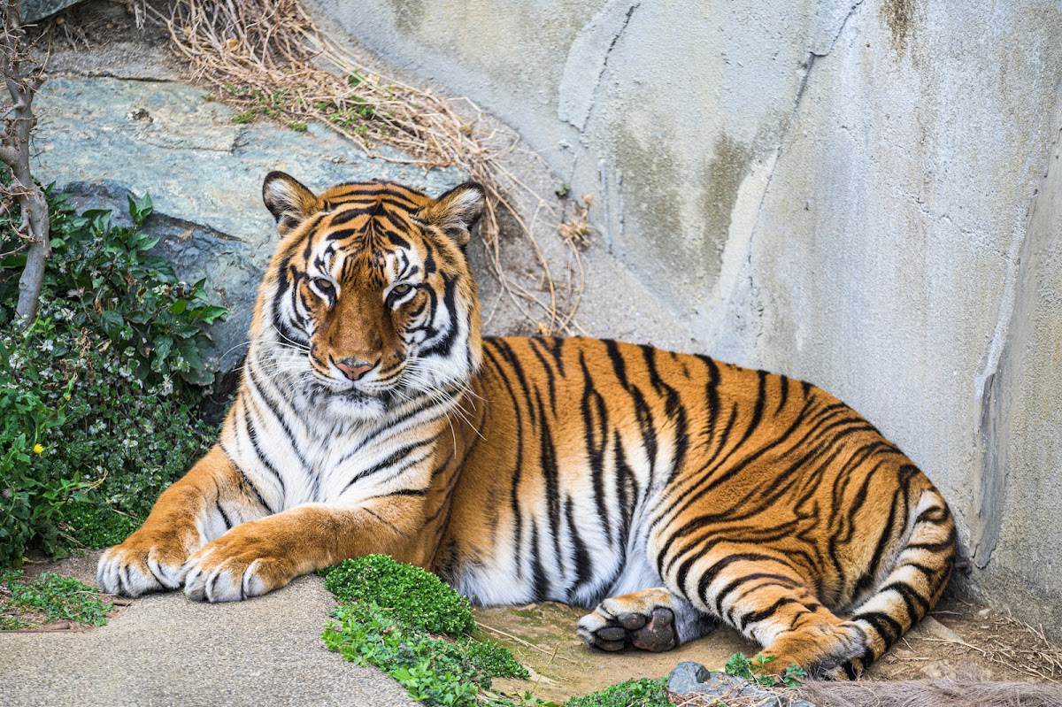 日立市神峰動物園（日立市かみね動物園） 實景照片 4