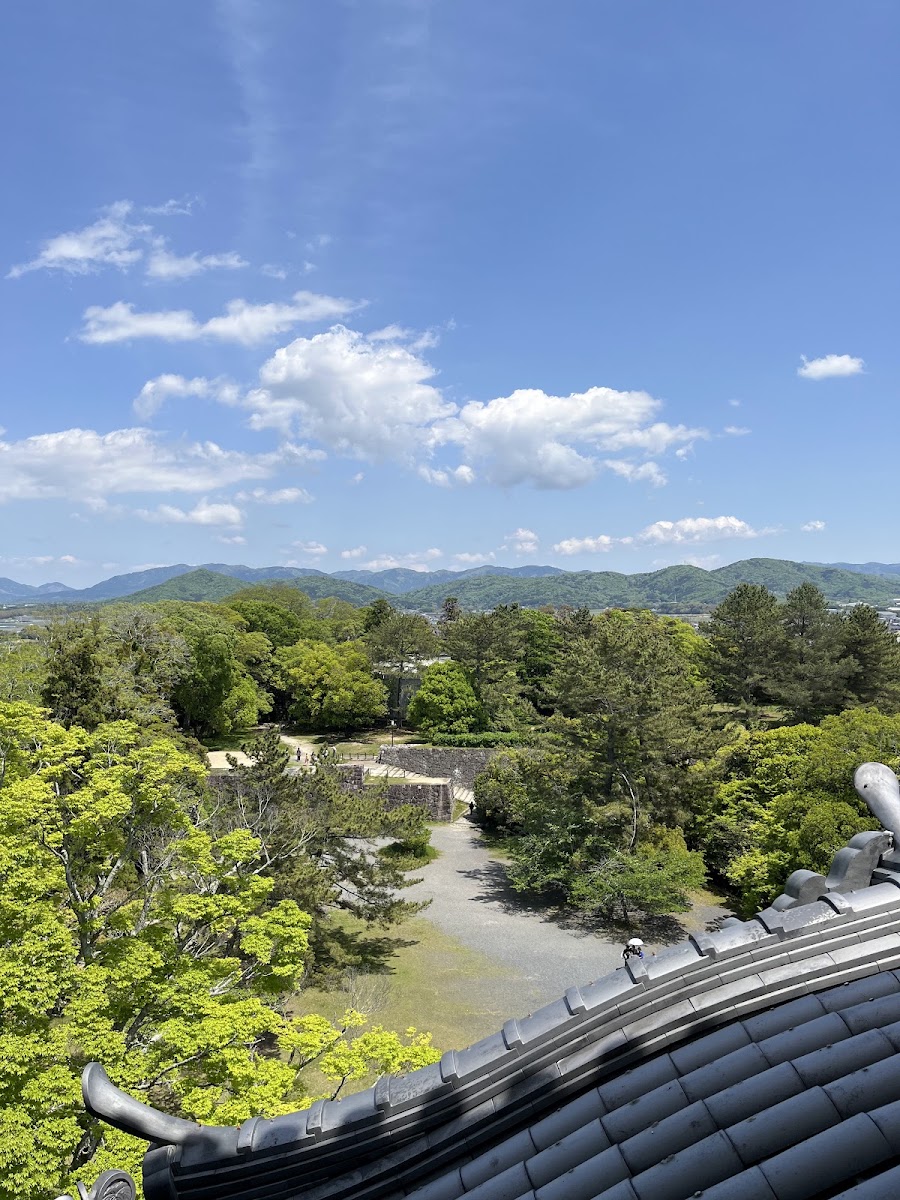 伊賀上野城 實景照片 4