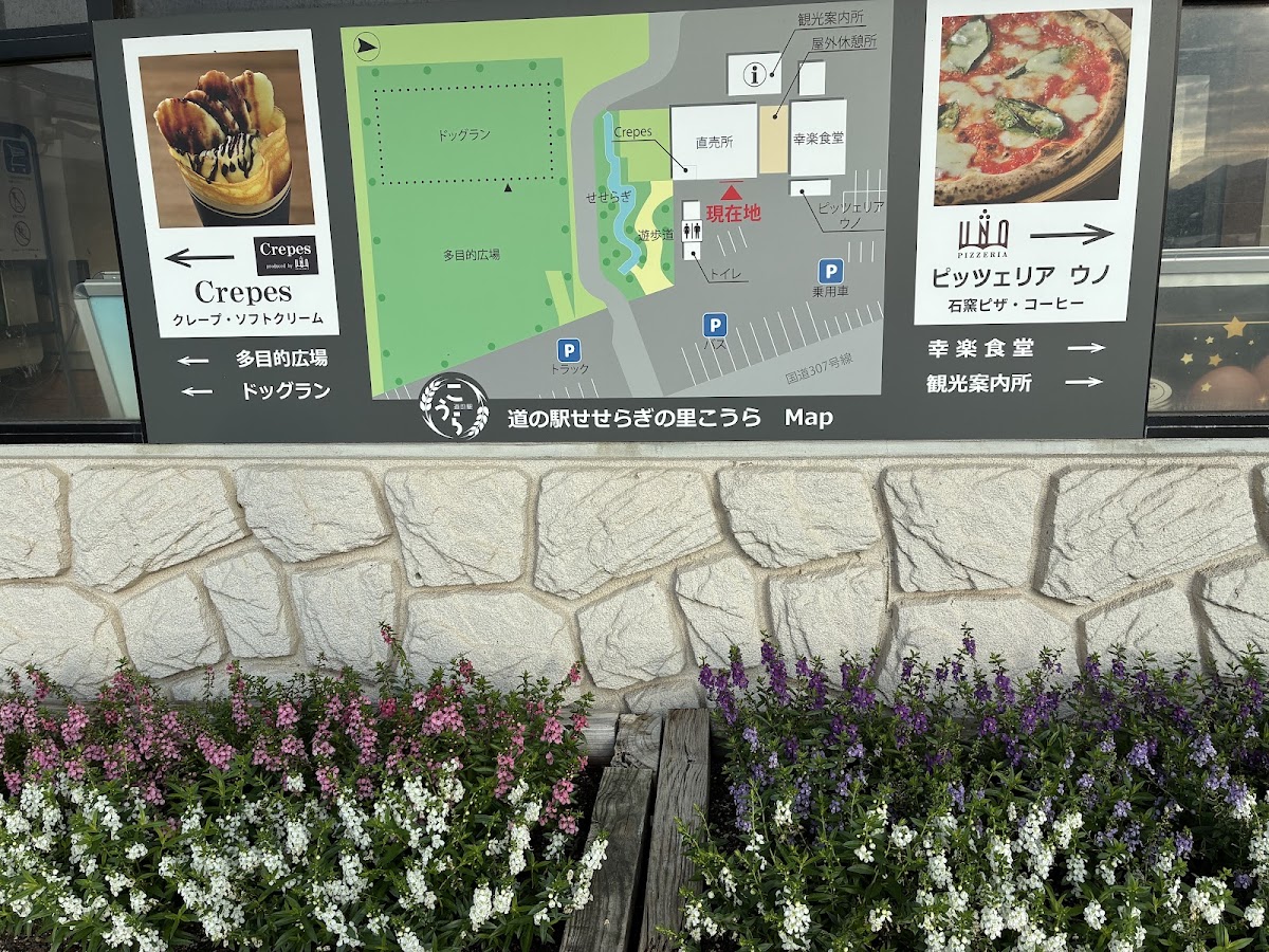 道之驛 瀨瀨流之里甲良(道の駅 せせらぎの里こうら) 實景照片 10