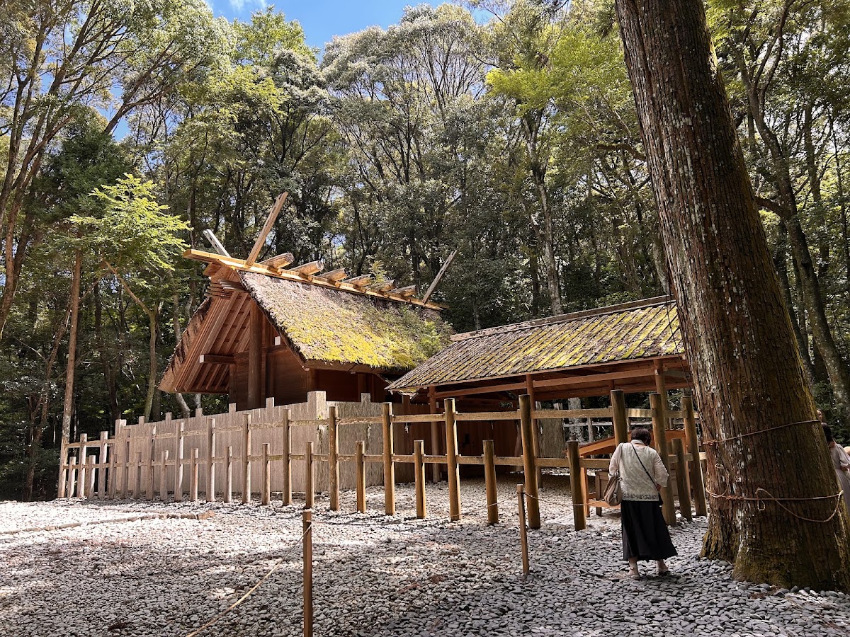 參拜者與古樹環繞的神社