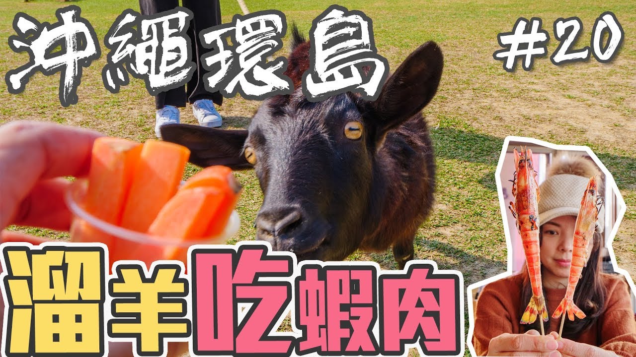 【沖繩環島自由行EP20】親子景點 Bios之丘玩什麼|球屋吃哥斯拉等級的蝦料理#沖繩自駕