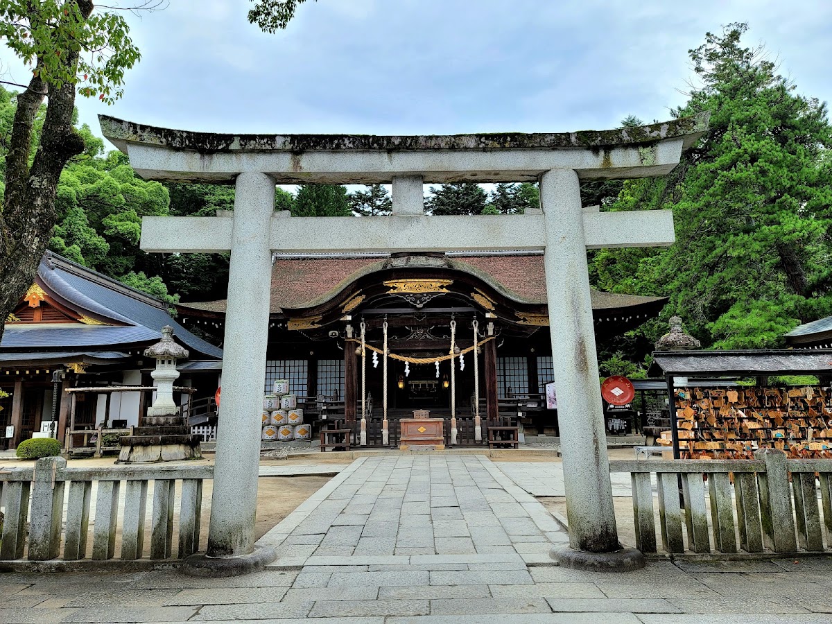 武田神社鳥居與本殿全景