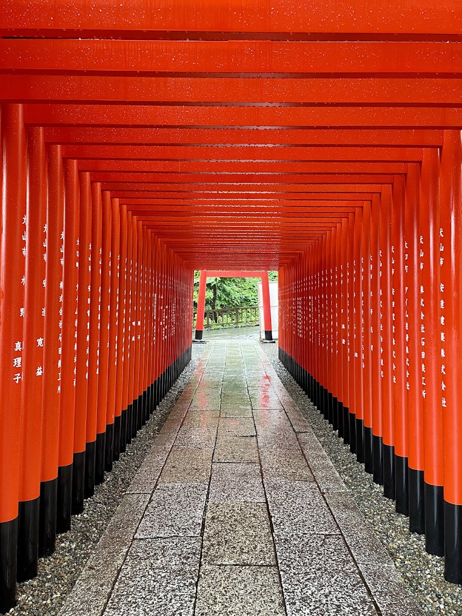 神社內紅色的鳥居隧道
