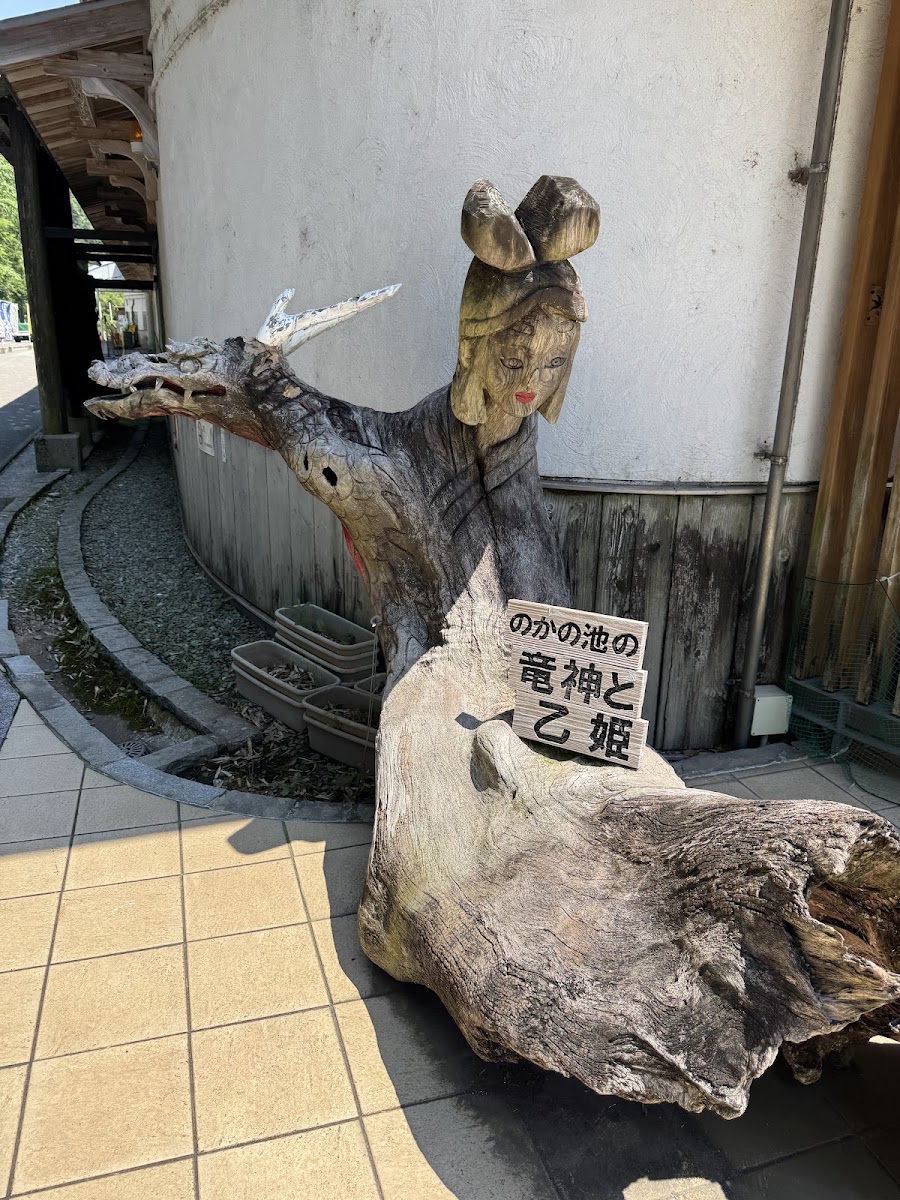 道之驛 大步危(道の駅 大歩危) 實景照片 10