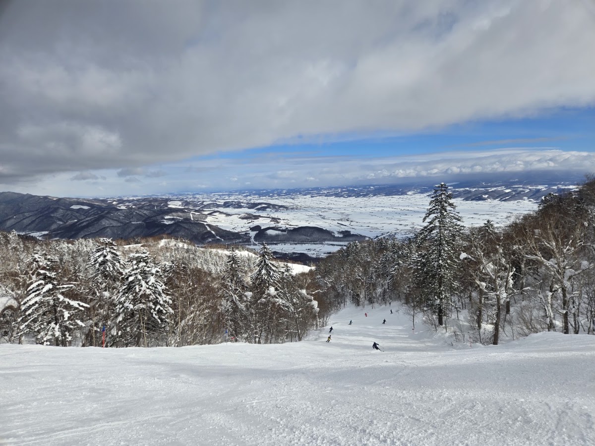 富良野滑雪場(富良野スキー場) 實景照片 6