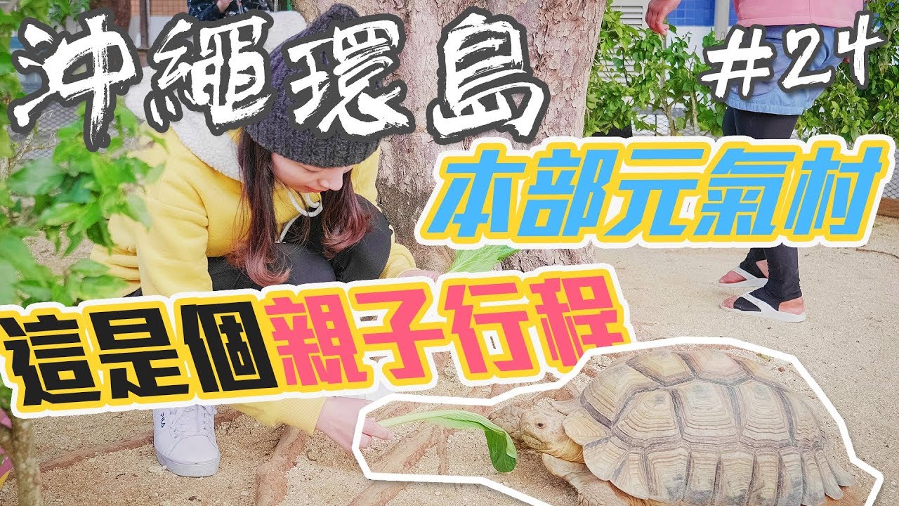 【沖繩環島自由行EP24】親子行程？本部元氣村動物餵食體驗｜八重岳櫻之森賞櫻#沖繩自駕