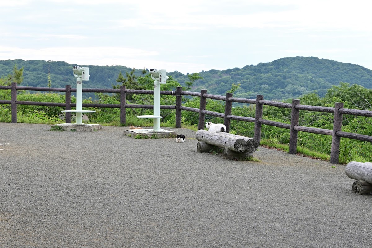 道之驛 一本松展望園(道の駅 一本松展望園) 實景照片 3