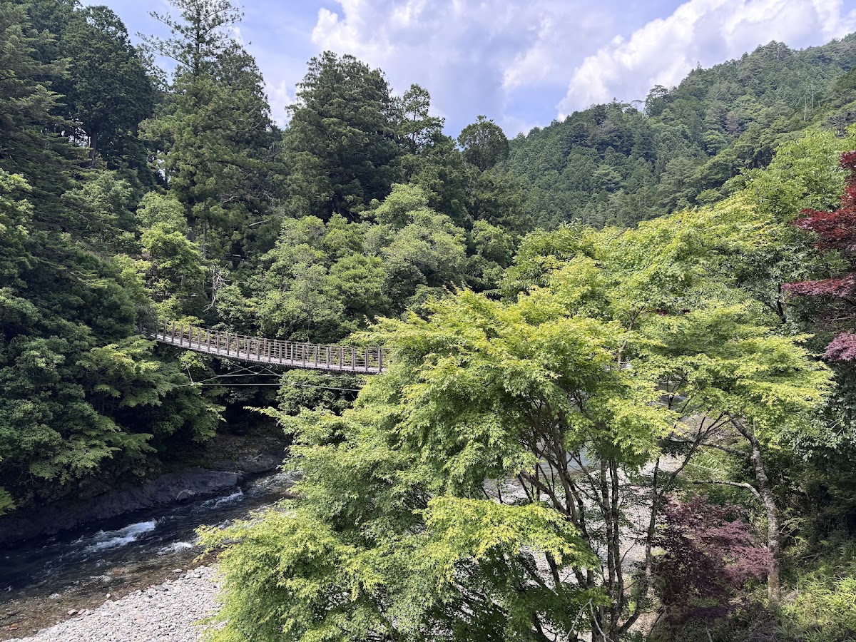 道之驛 龍神(道の駅 龍神) 實景照片 6