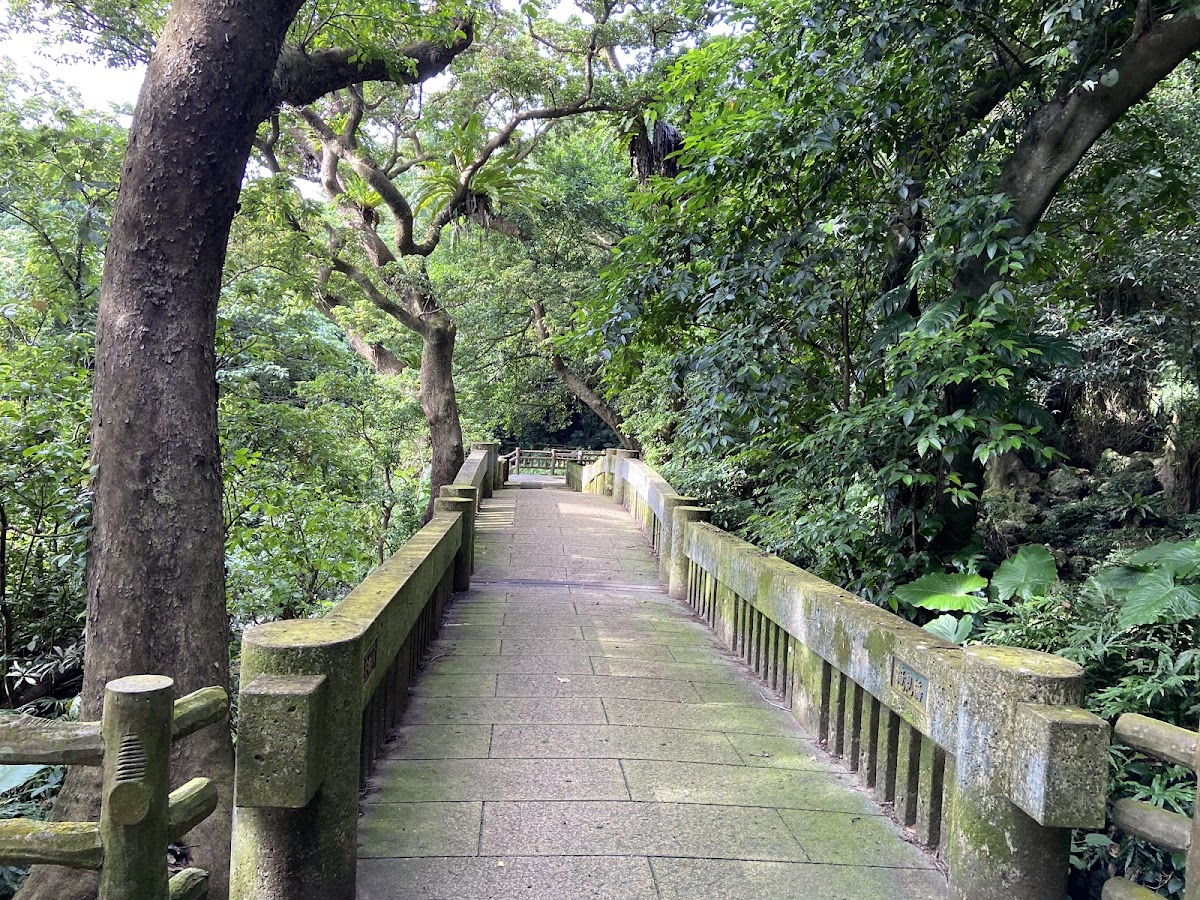 公園內的石板步道與樹林