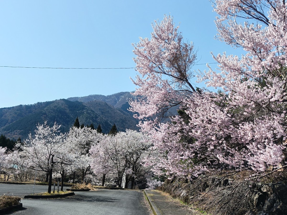 道之驛 薄墨櫻之里・根尾(道の駅 うすずみ桜の里・ねお) 實景照片 3