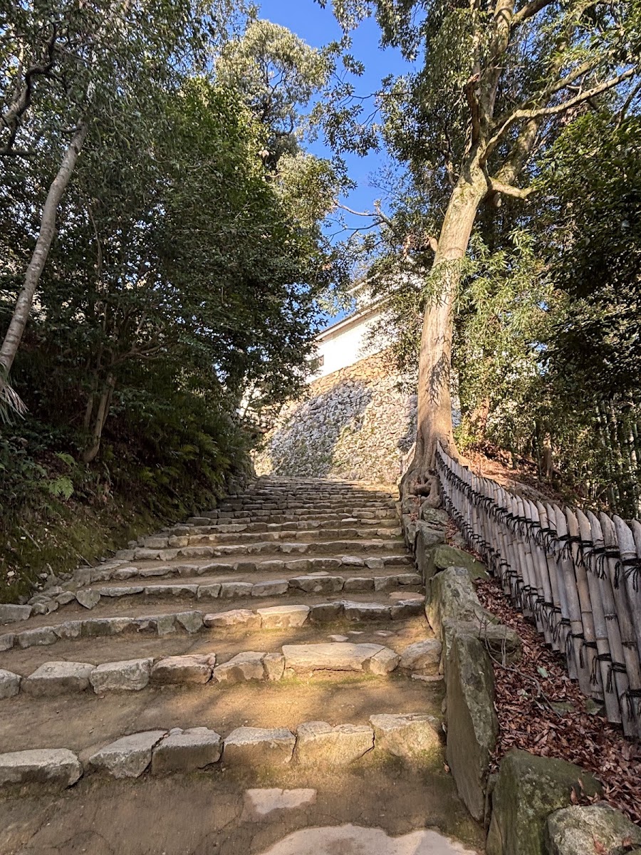 彥根城(彦根城) 實景照片 8
