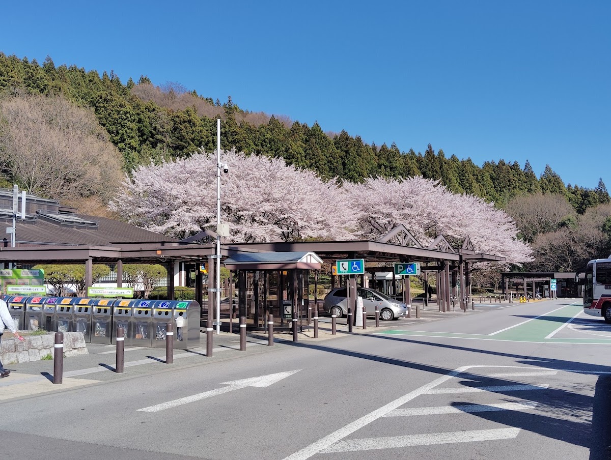橫川服務區 上行(横川SA) 實景照片 9