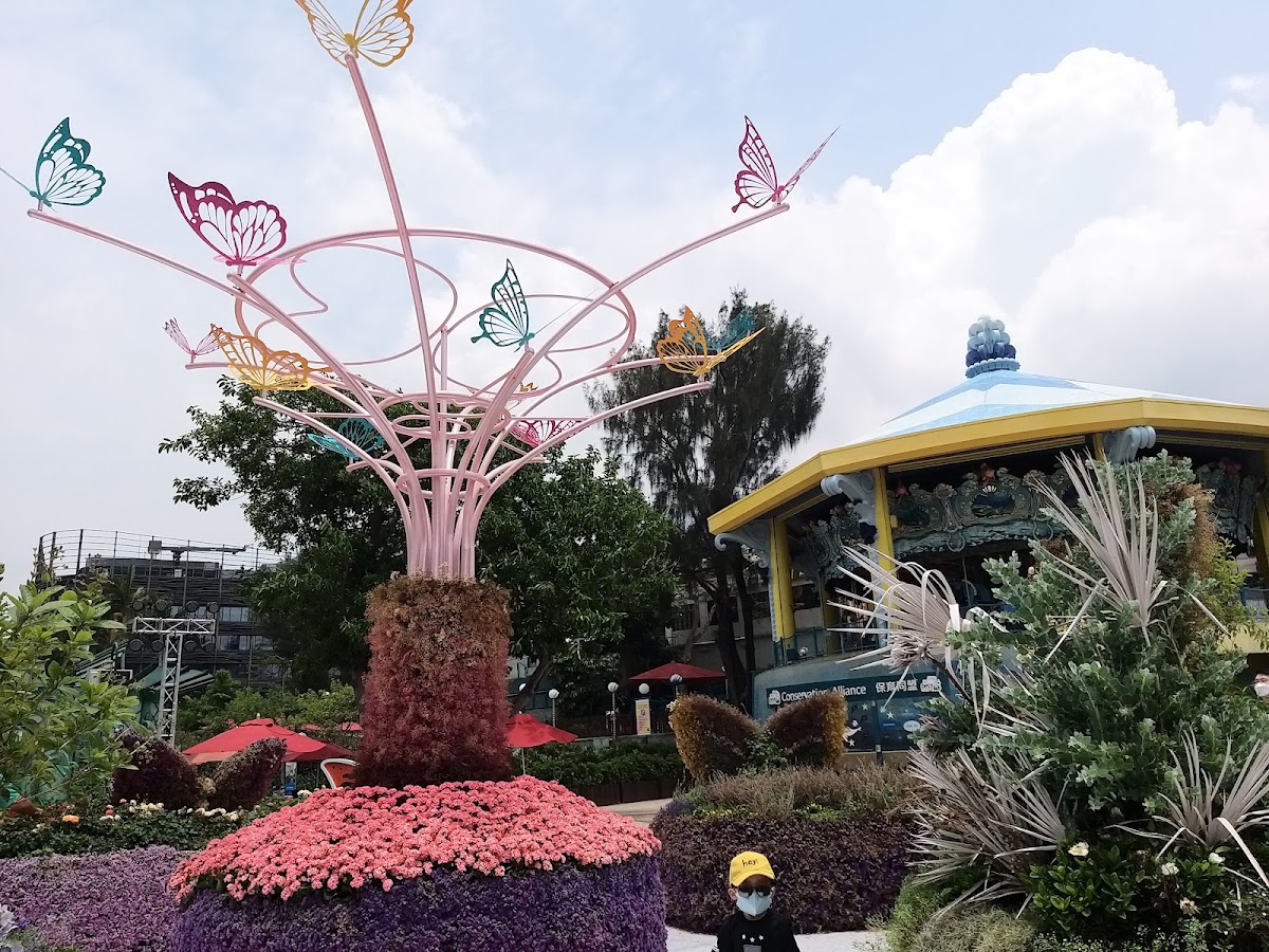 海洋公園停車場 Ocean Park Car Park 實景照片 7