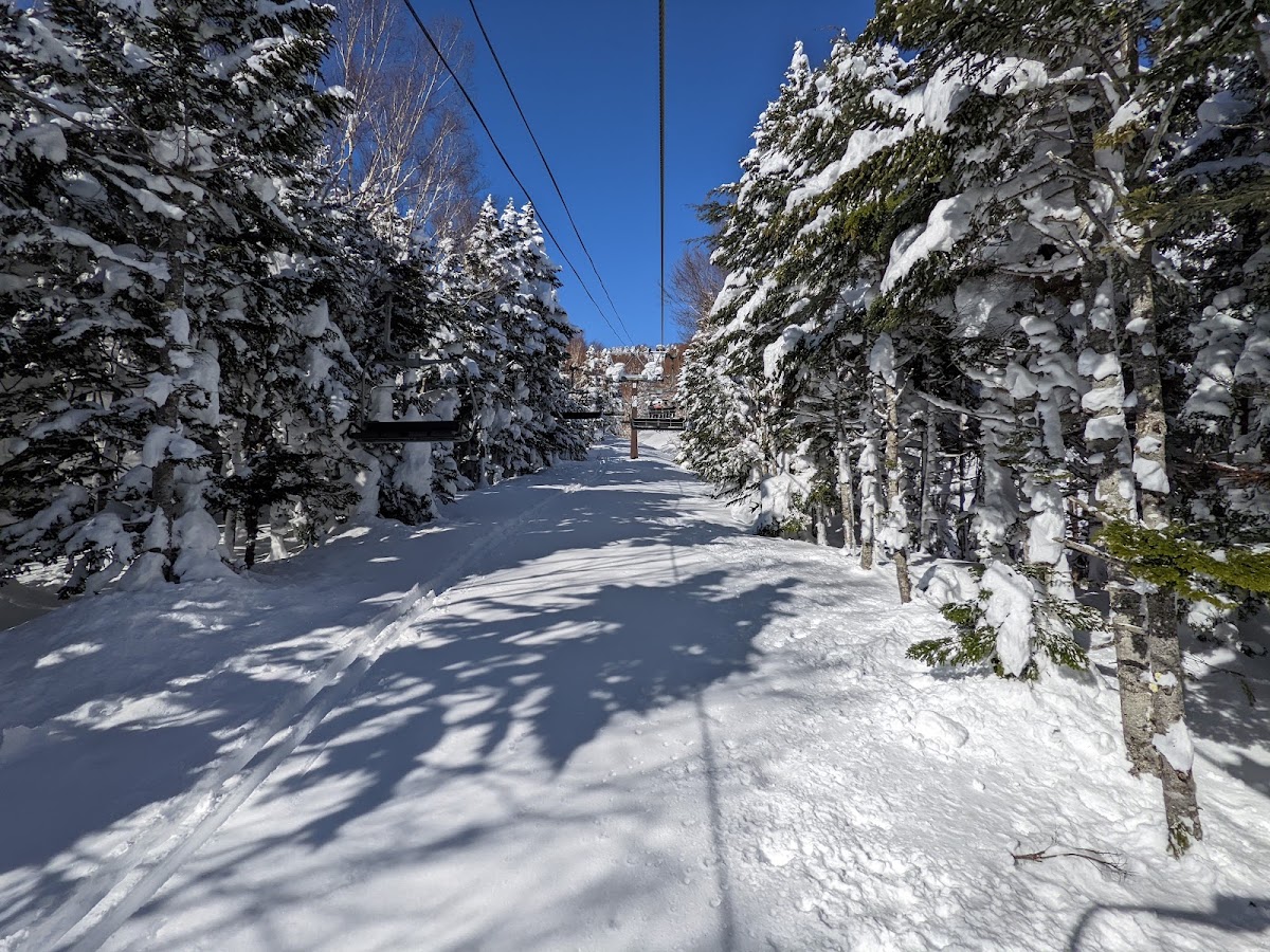 志賀高原燒額山滑雪場（志賀高原 焼額山スキー場） 實景照片 5