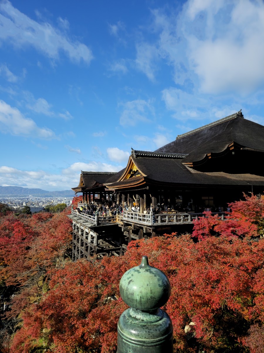 秋日紅葉與清水寺本堂全景