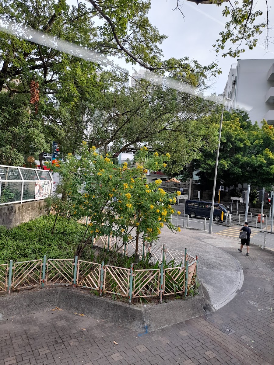 大埔政府合署露天停車場 實景照片 10