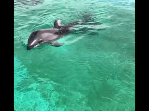 2026/5/26 能登島水族館