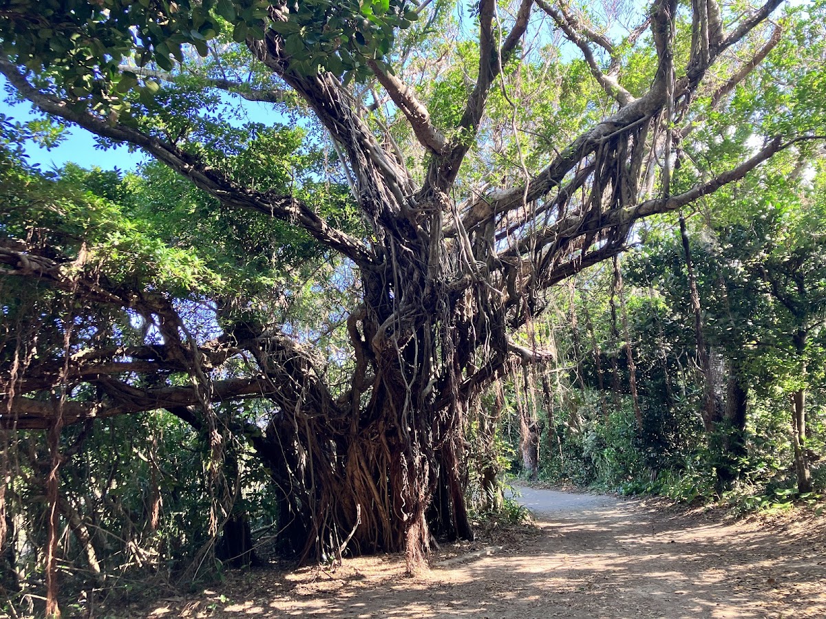 久高島 實景照片 2