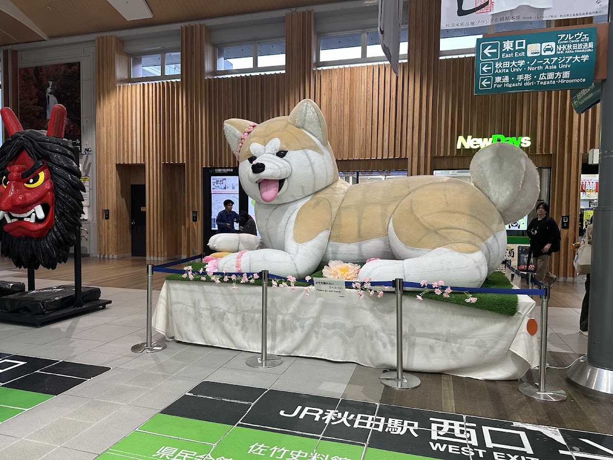 JR秋田站 新幹線(JR秋田駅) 實景照片 3