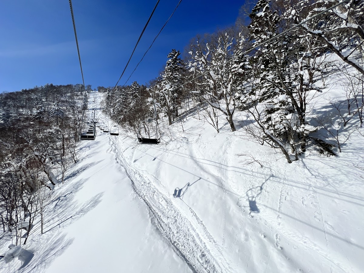 富良野滑雪場(富良野スキー場) 實景照片 8