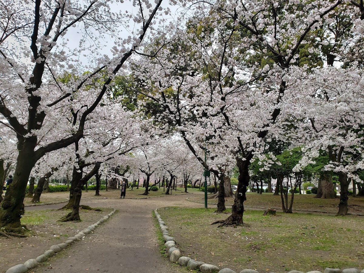 鶴舞公園 實景照片 4