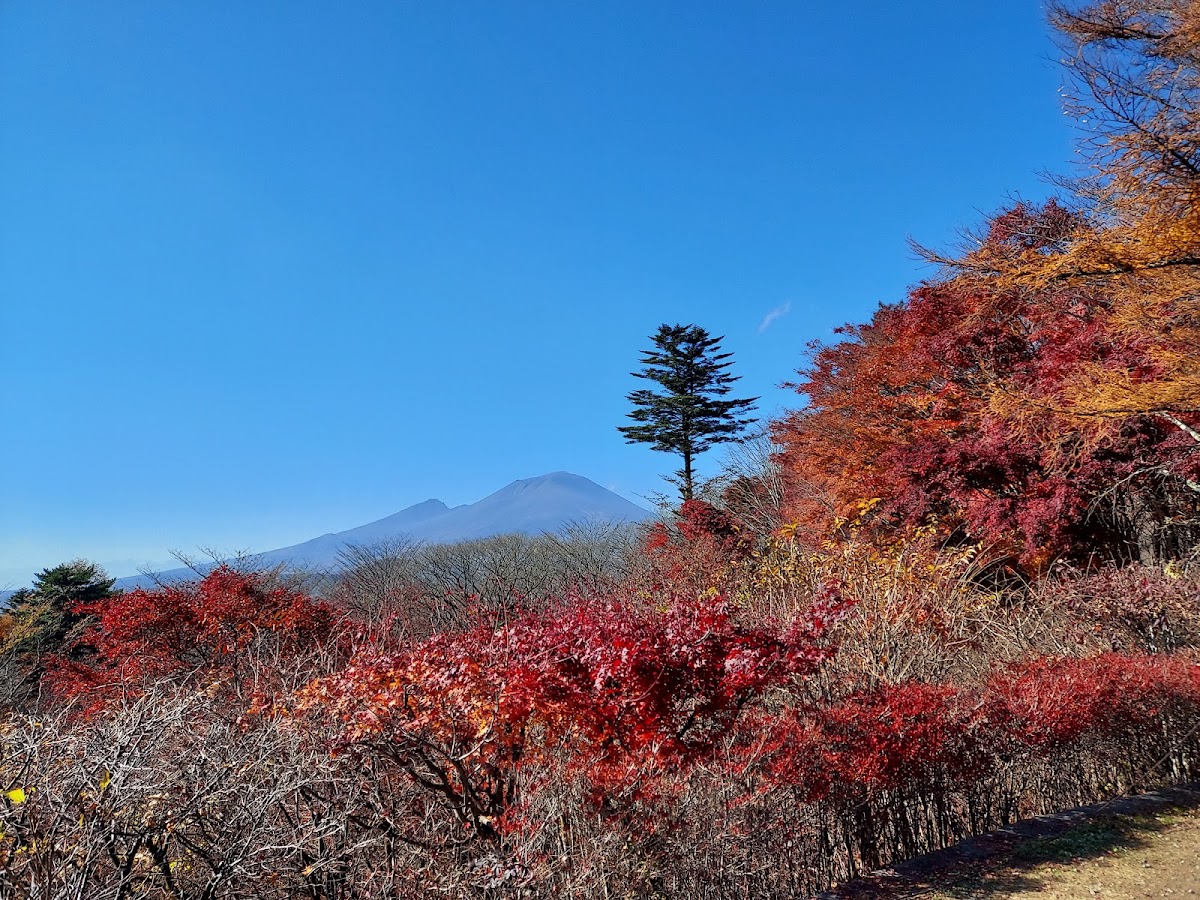 藍天遠山與秋景紅葉