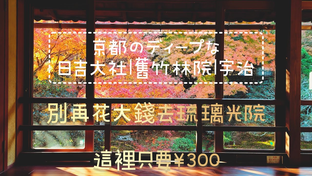 2024秋|滋賀|日吉大社|舊竹林院|宇治|京都のディープな旅2024/12/8