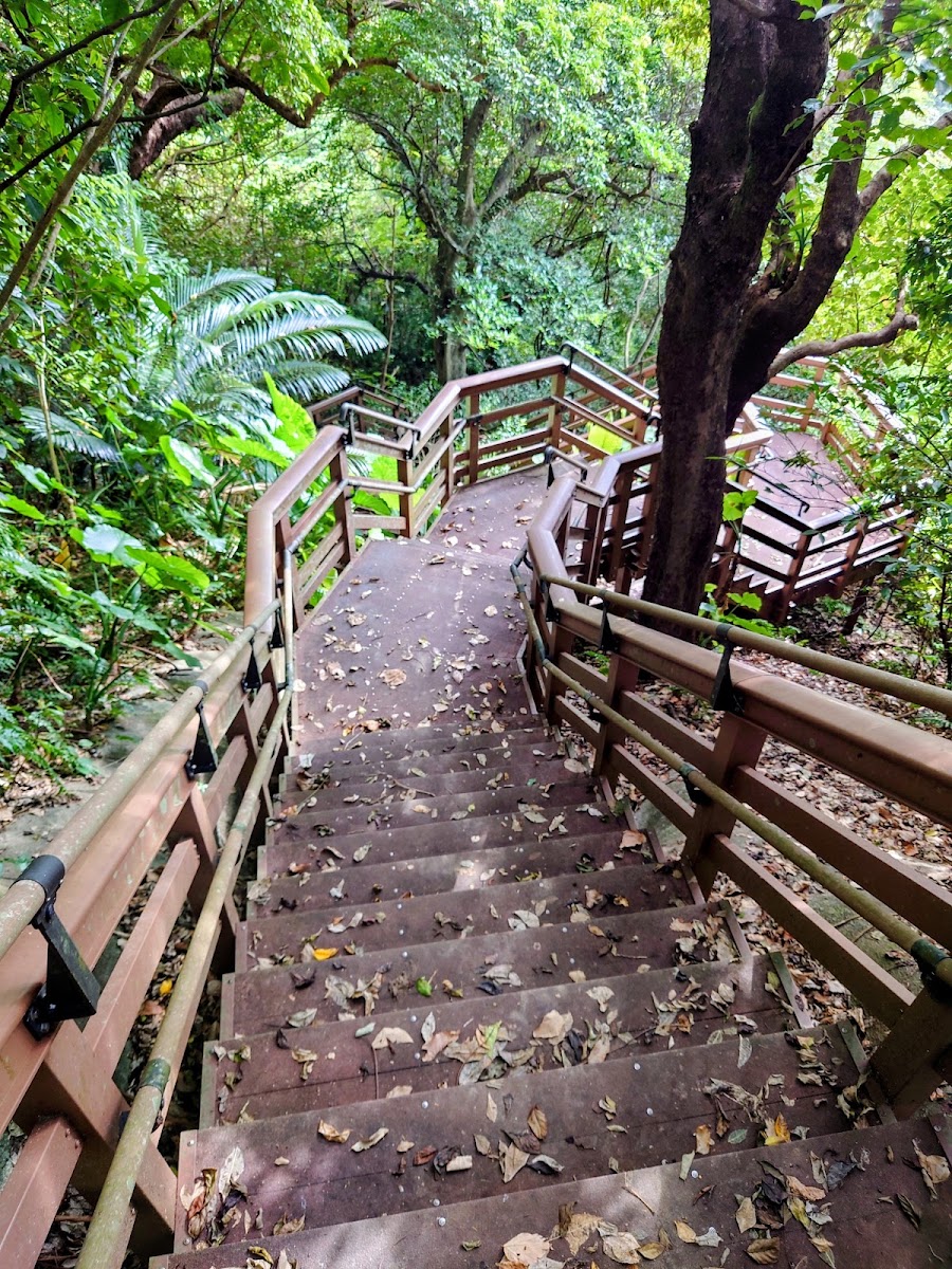 末吉公園 實景照片 3