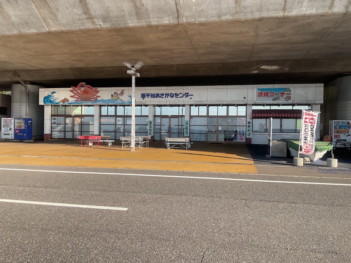 道之驛 親不知Pier Park（道の駅 親不知ピアパーク）