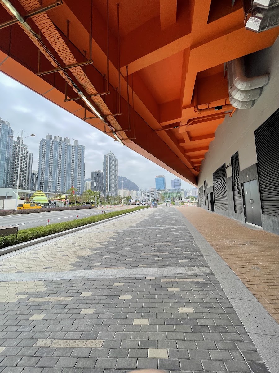啟德體育園主場館 Kai Tak Sports Park Stadium 停車場 實景照片 3