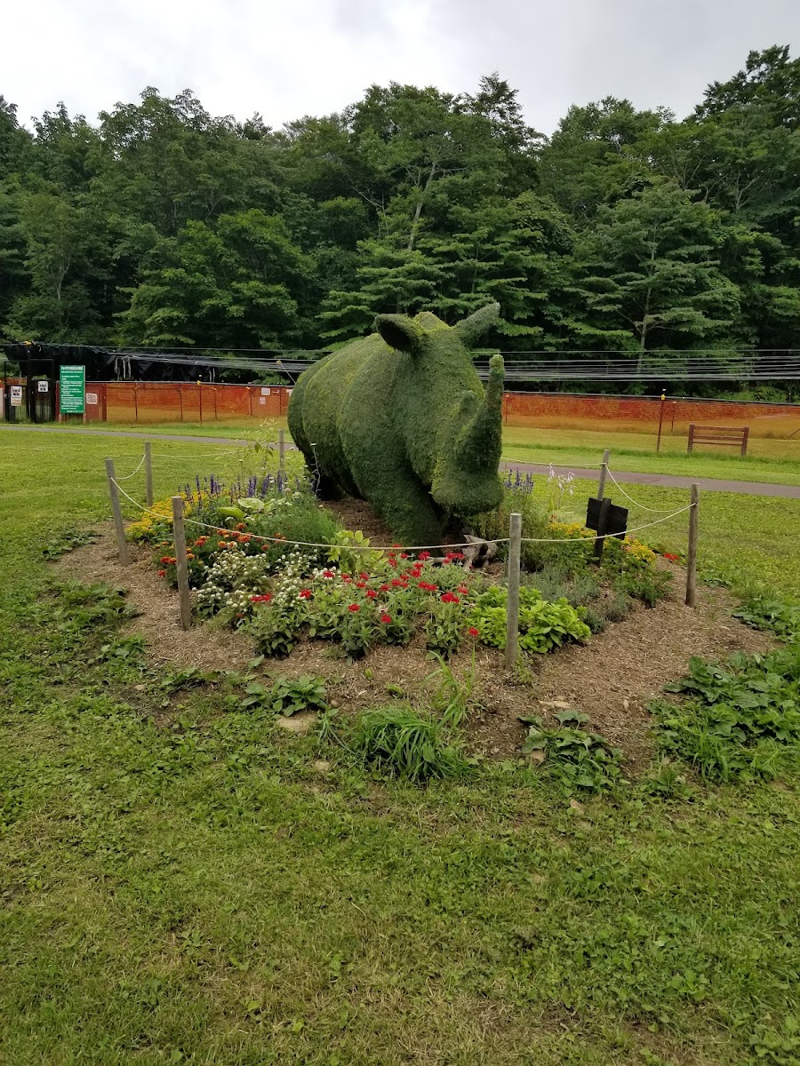 Tambara滑雪樂園（たんばらスキーパーク） 實景照片 7