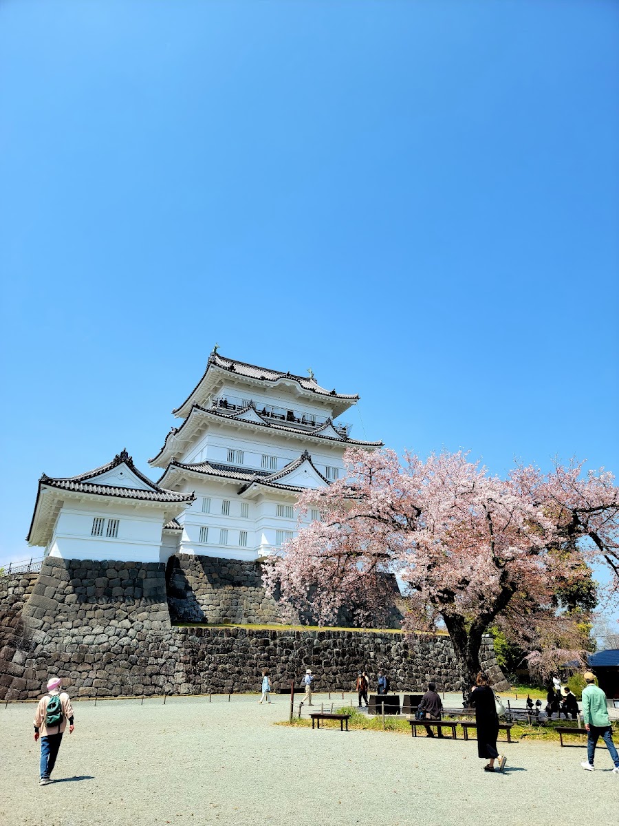 小田原城 實景照片 1