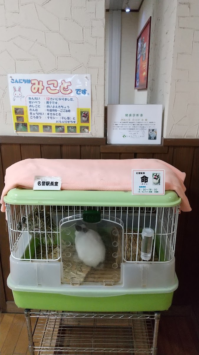 道之驛 神話之里白兔（道の駅 神話の里 白うさぎ） 實景照片 8
