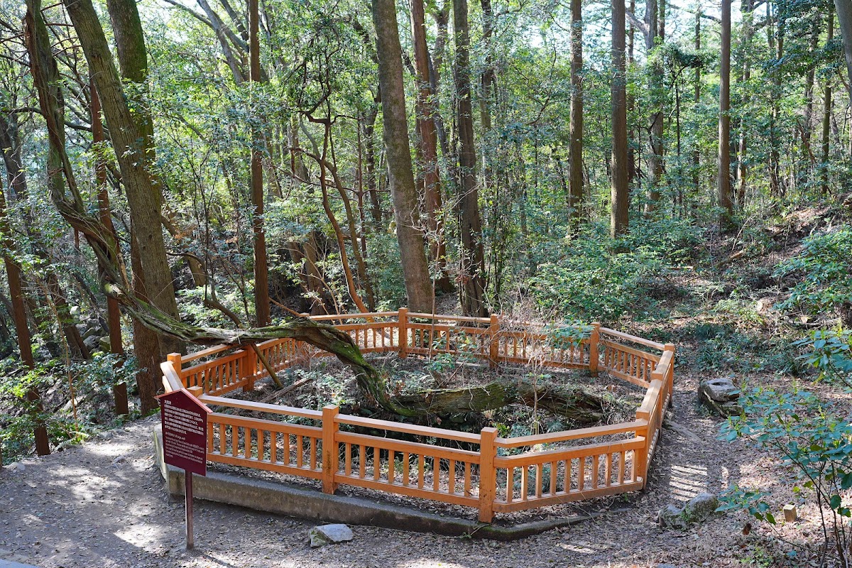 岩國城(岩国城) 實景照片 9