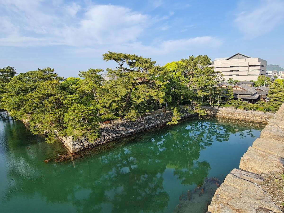 高松城護城河與古松倒影