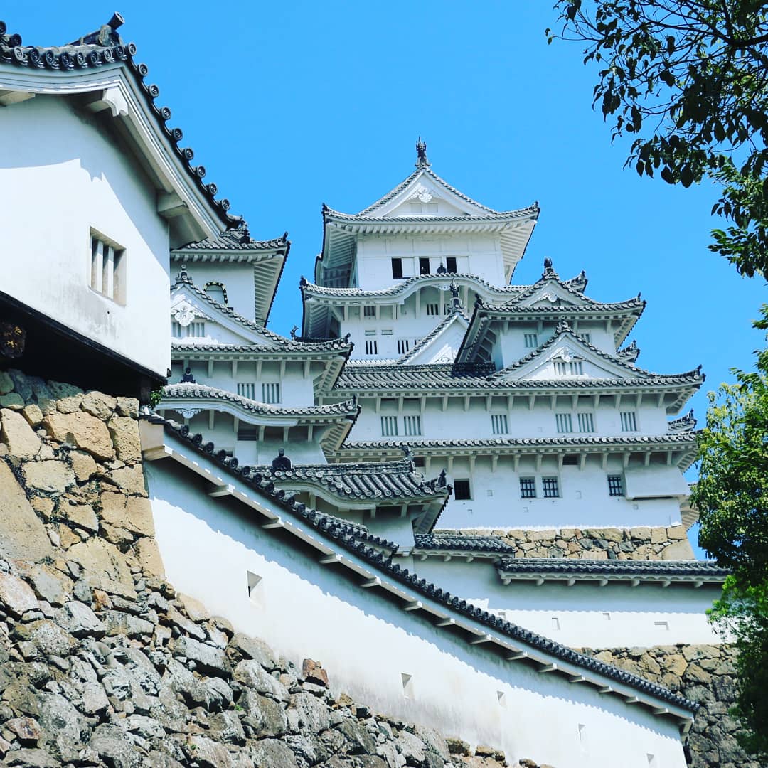 姬路城(姫路城) 實景照片 7