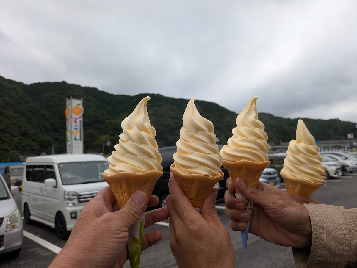 道之驛 蘆北Dekopon(道の駅 芦北でこぽん) 實景照片 9