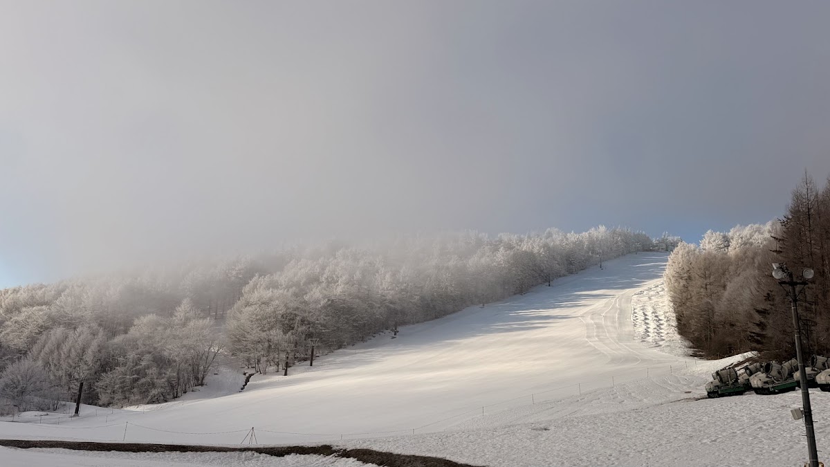 菅平高原Snow Resort(菅平高原スノーリゾート) 實景照片 8